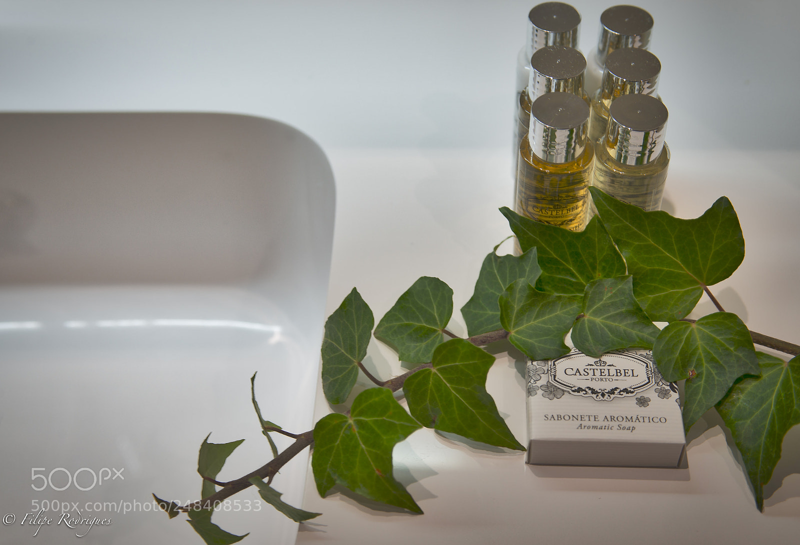 Nikon D800E sample photo. Check-in photography