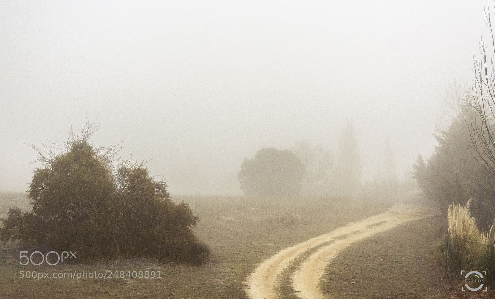 Nikon D7100 sample photo. Foggy road photography