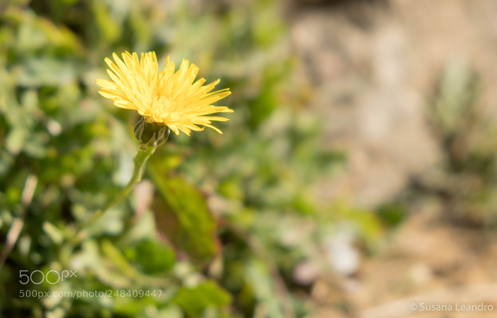 Fujifilm X-T20 sample photo. My photos photography