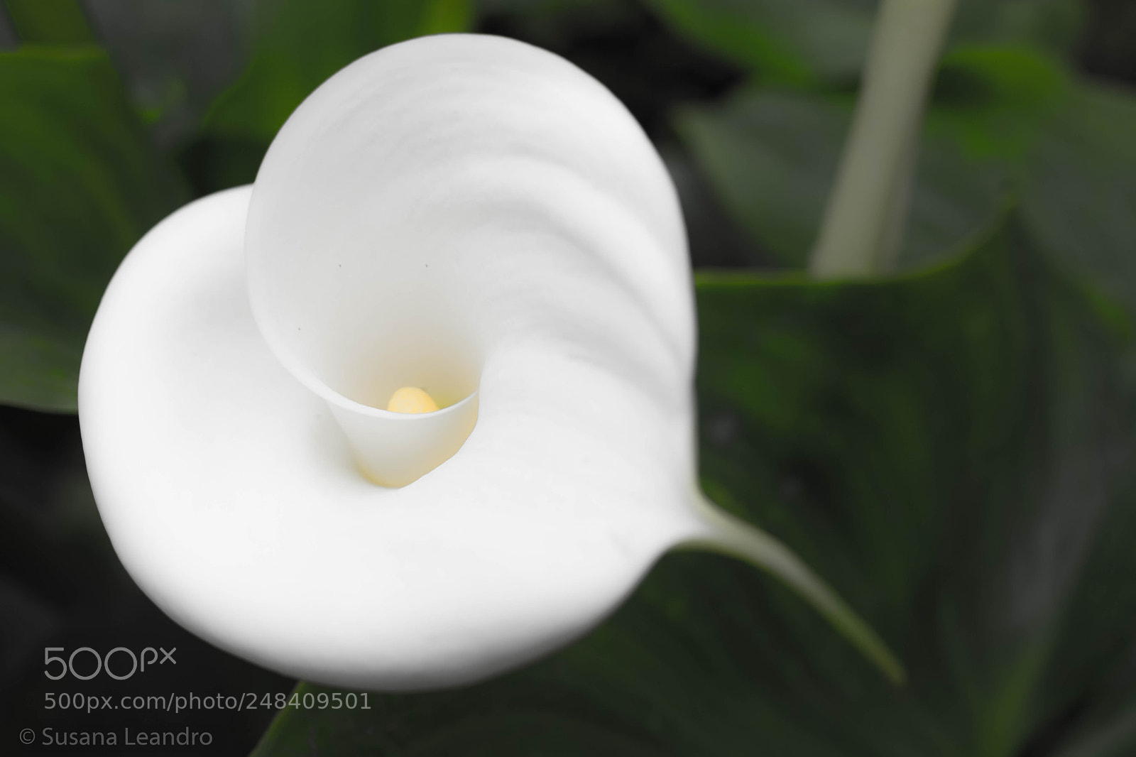 Fujifilm X-T20 sample photo. My photos photography