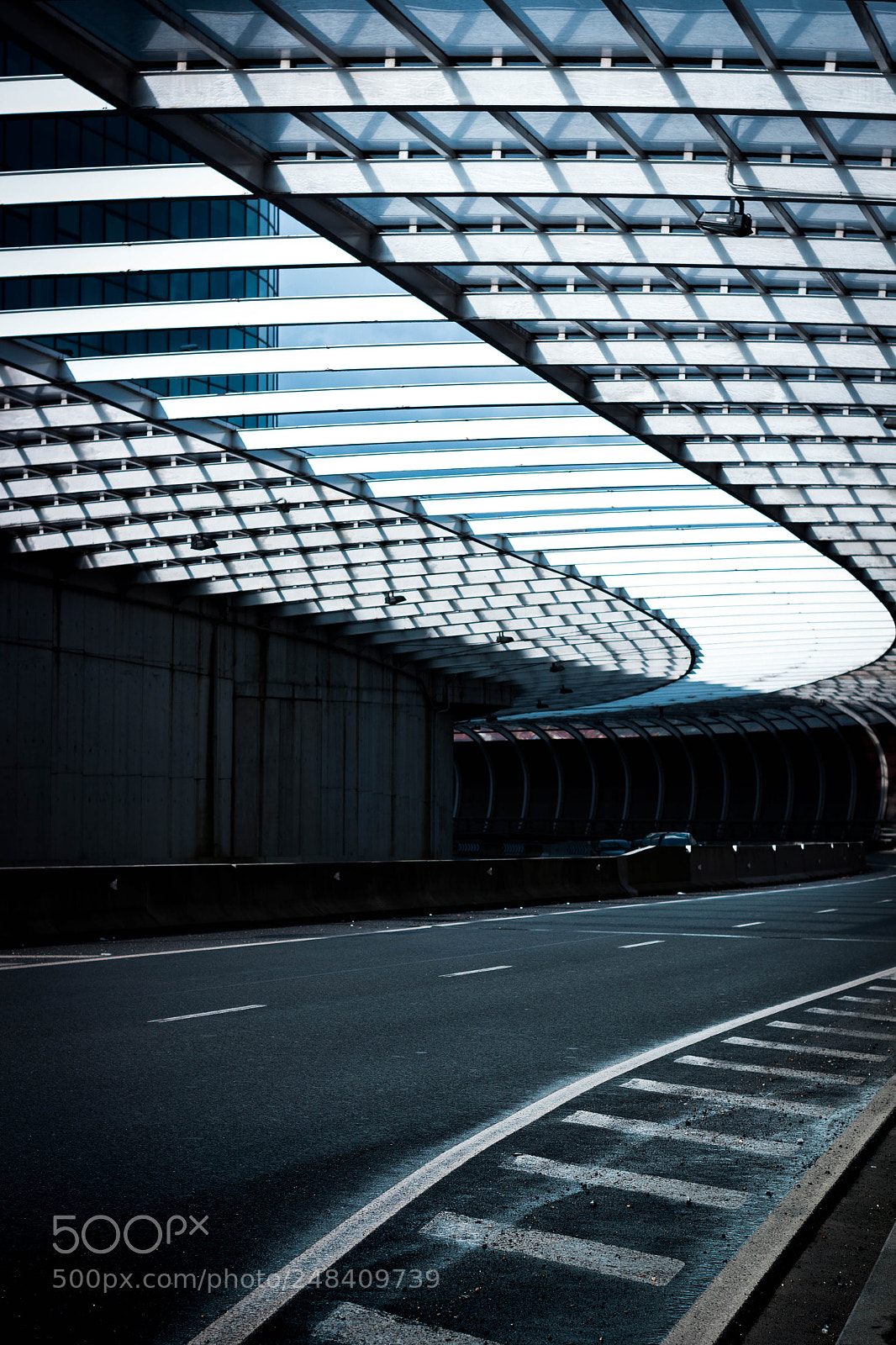 Canon EOS 500D (EOS Rebel T1i / EOS Kiss X3) sample photo. My way, my destiny. photography