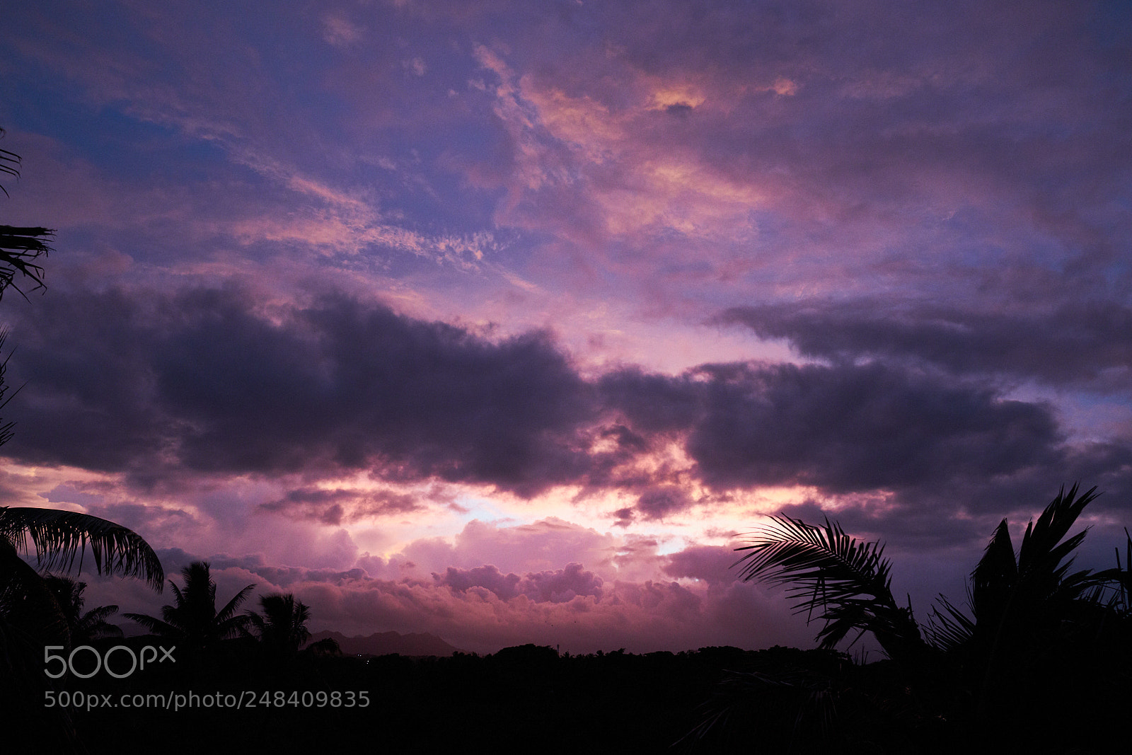 Sony a7R II sample photo. Day sixty five photography