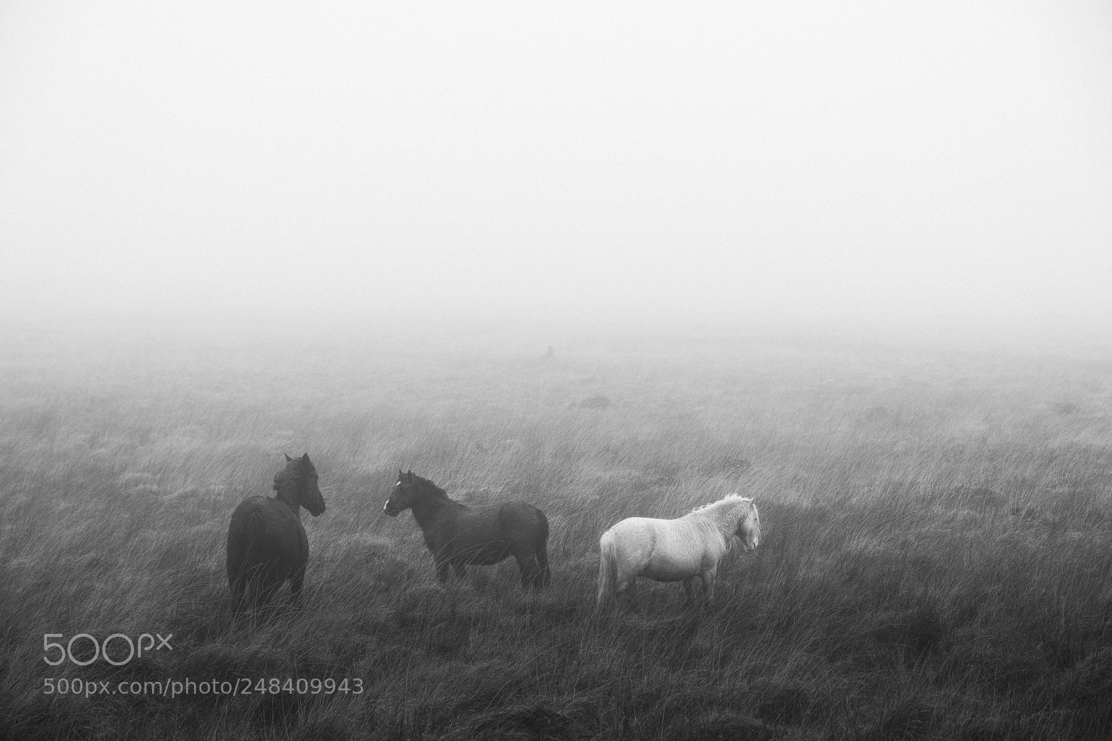 Fujifilm X-Pro2 sample photo. South wales photography