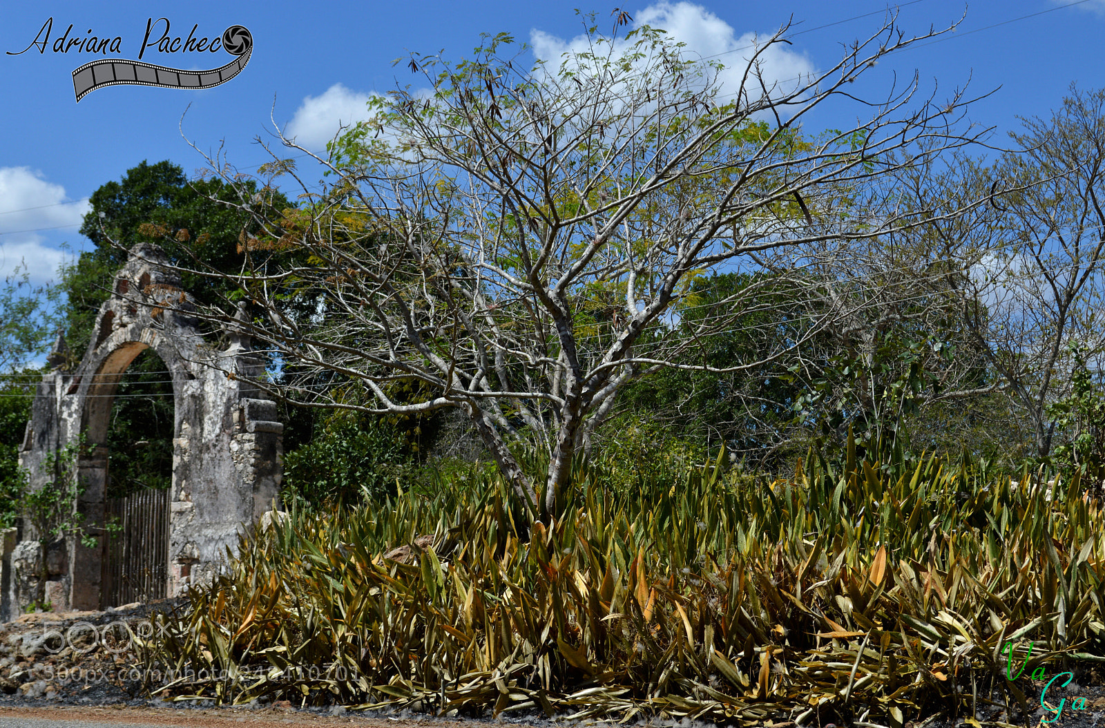 Nikon D3200 sample photo. S photography