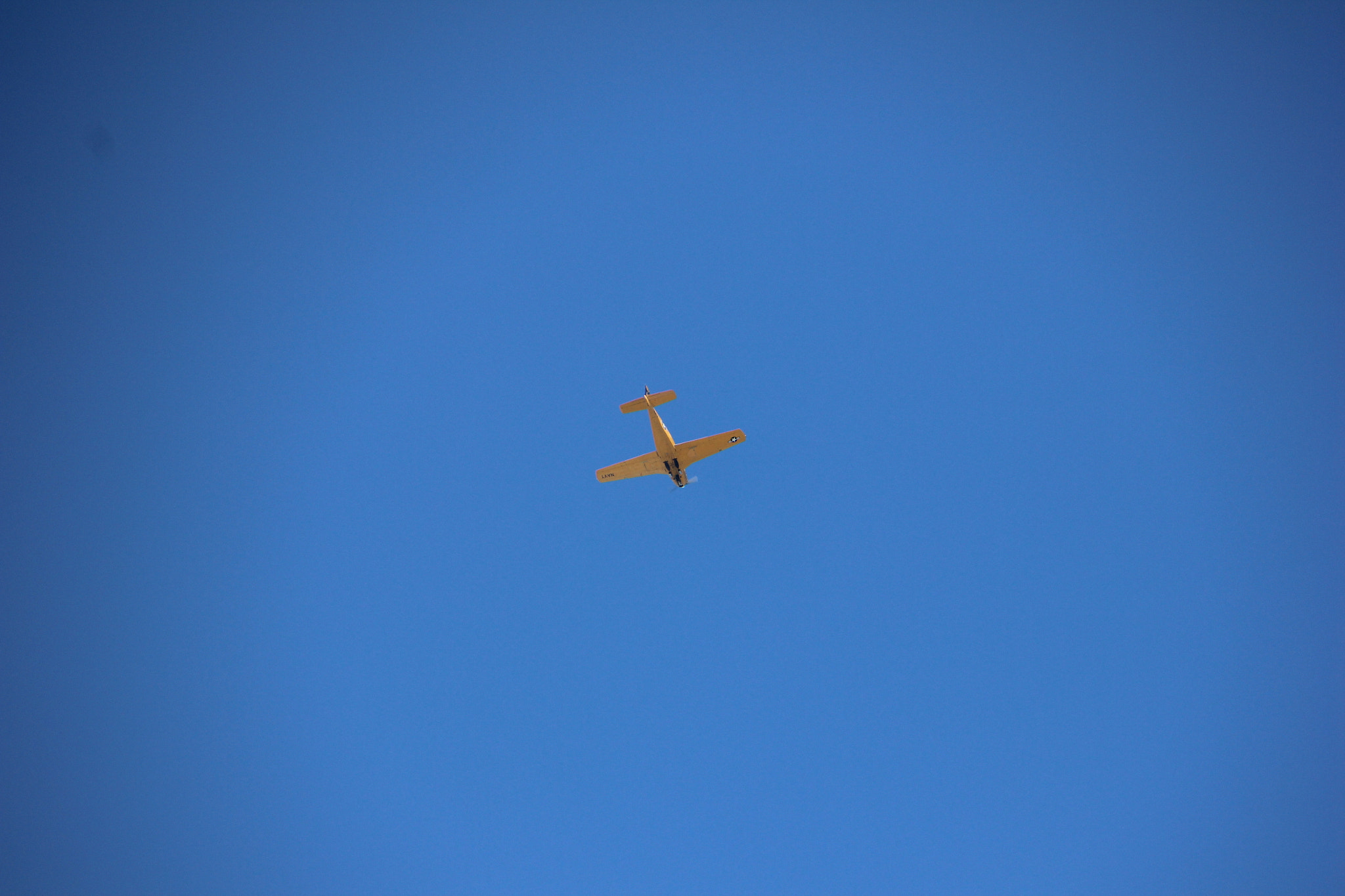 Canon EOS 600D (Rebel EOS T3i / EOS Kiss X5) sample photo. Bluebird photography