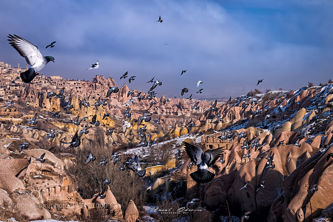 Nikon D810 sample photo. Mysterious cappadocia 10 photography