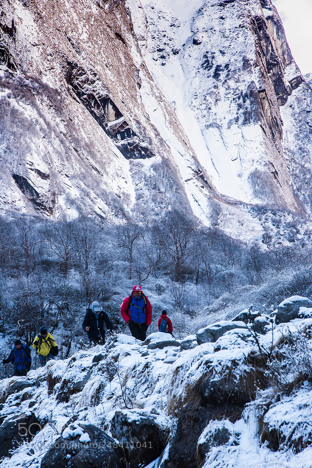 Nikon D810 sample photo. Abc trekking in nepal. photography