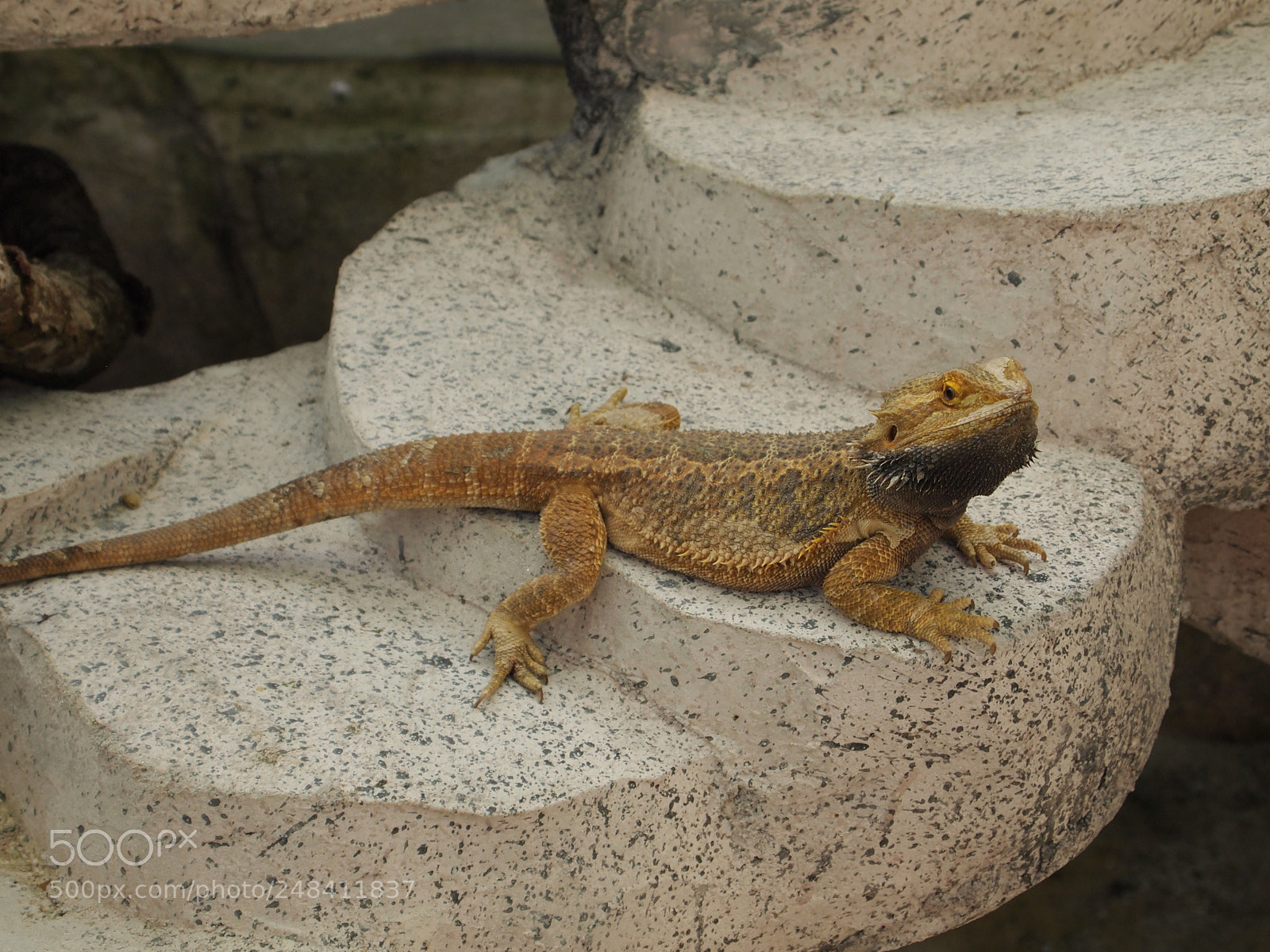 Olympus PEN E-PL1 sample photo. Natures photos photography