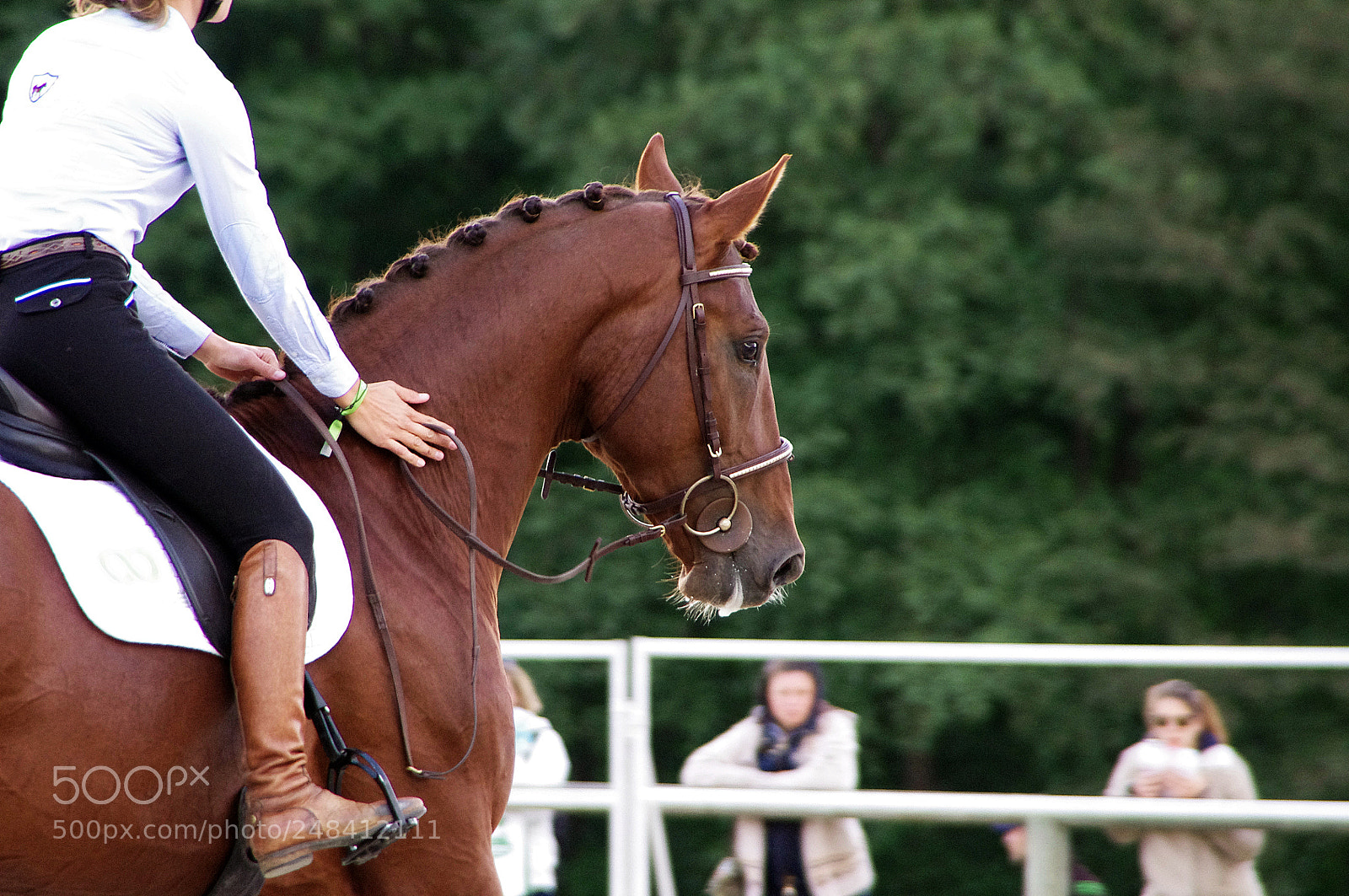 Pentax K-r sample photo. Softness photography