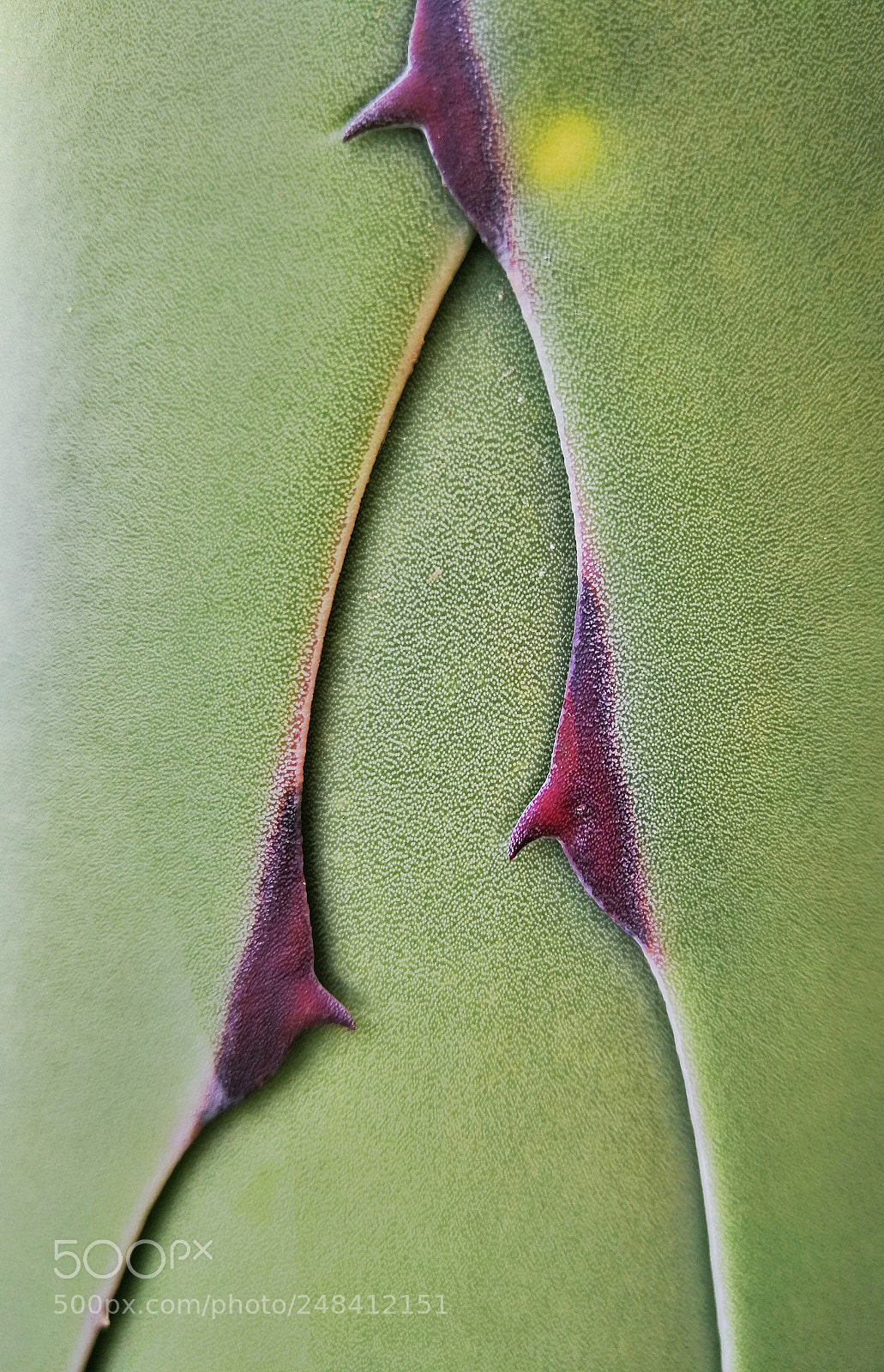 HUAWEI P10 Plus sample photo. Zipper photography