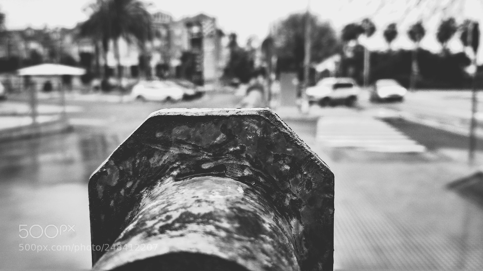 Xiaomi Redmi 4X sample photo. Details photography