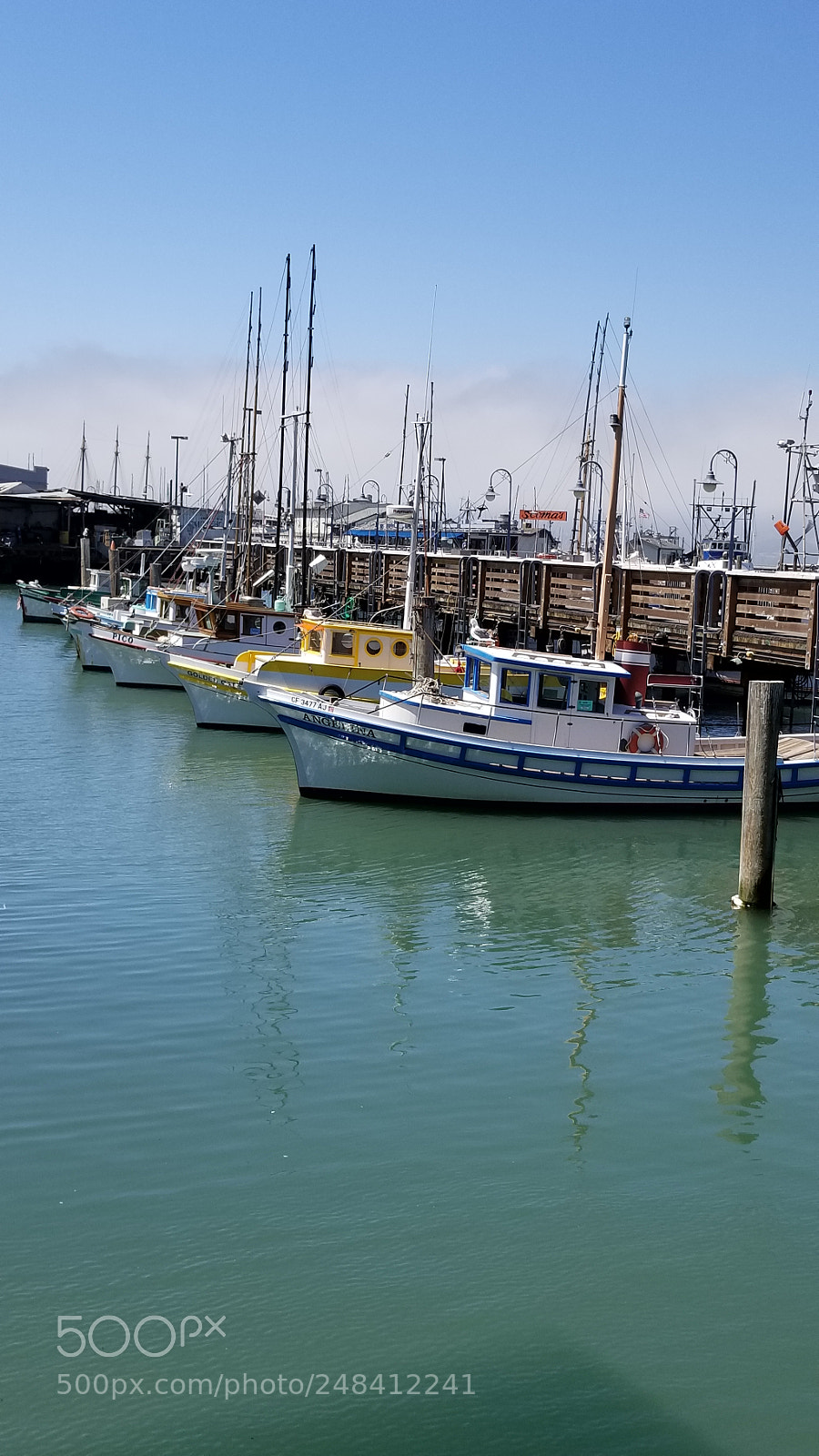 Samsung Galaxy S8+ sample photo. Untitled photography