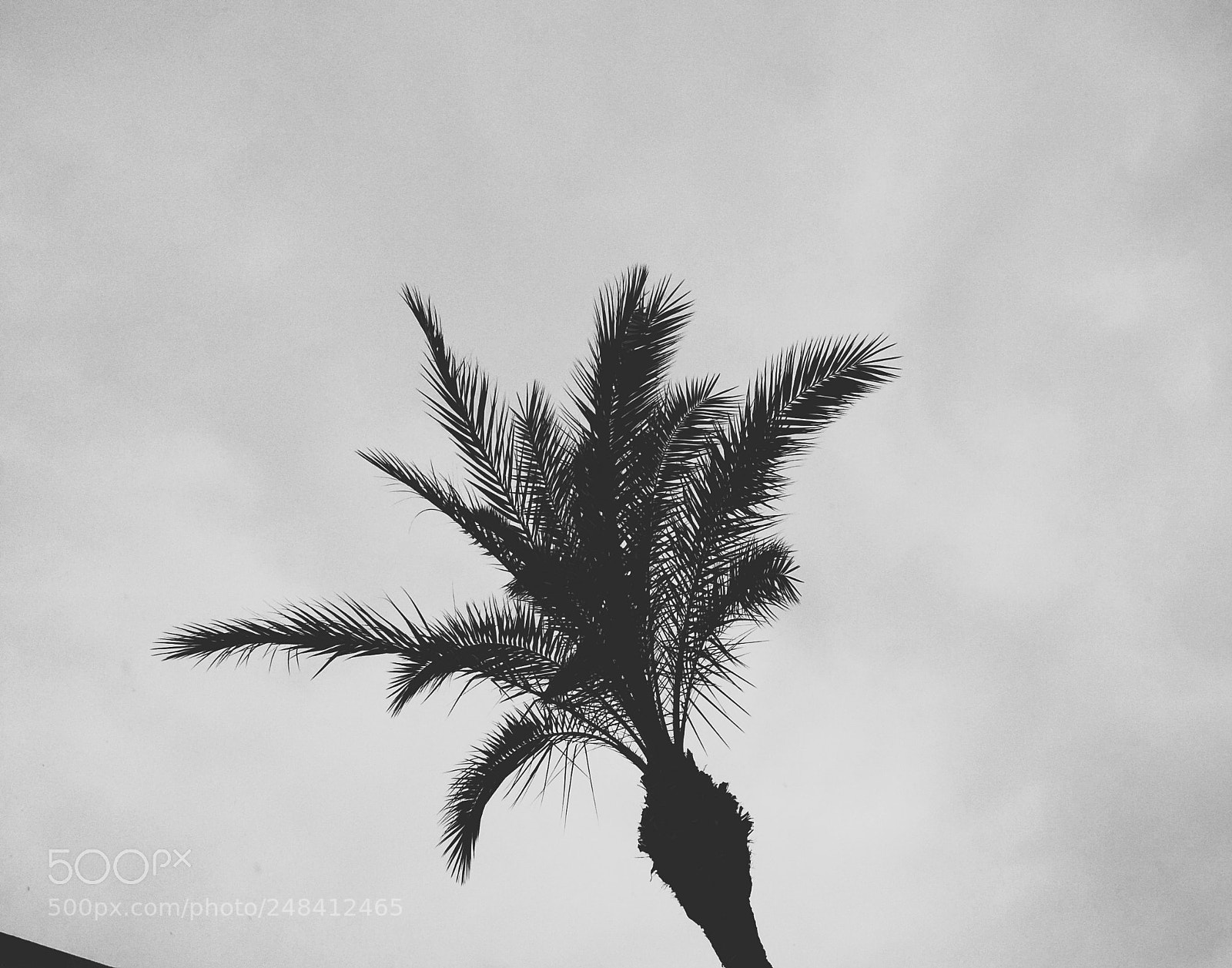 Xiaomi Redmi 4X sample photo. Invisible corner photography