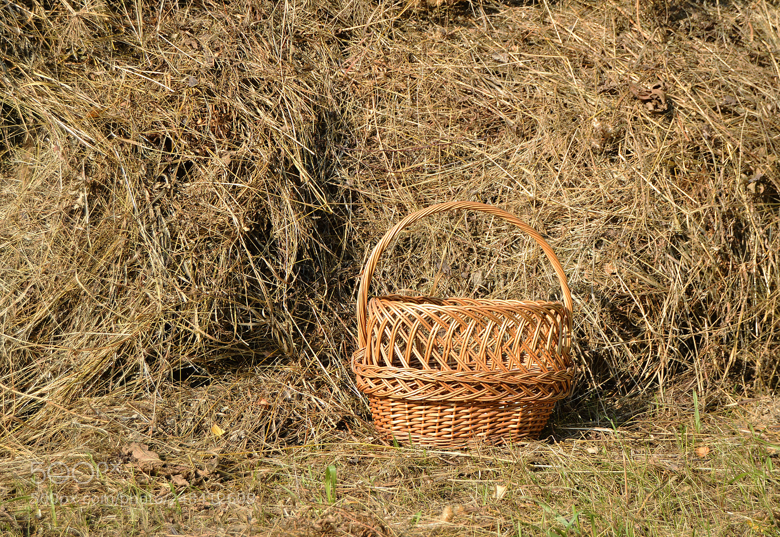 Nikon D3200 sample photo. Wicker basket near hay photography