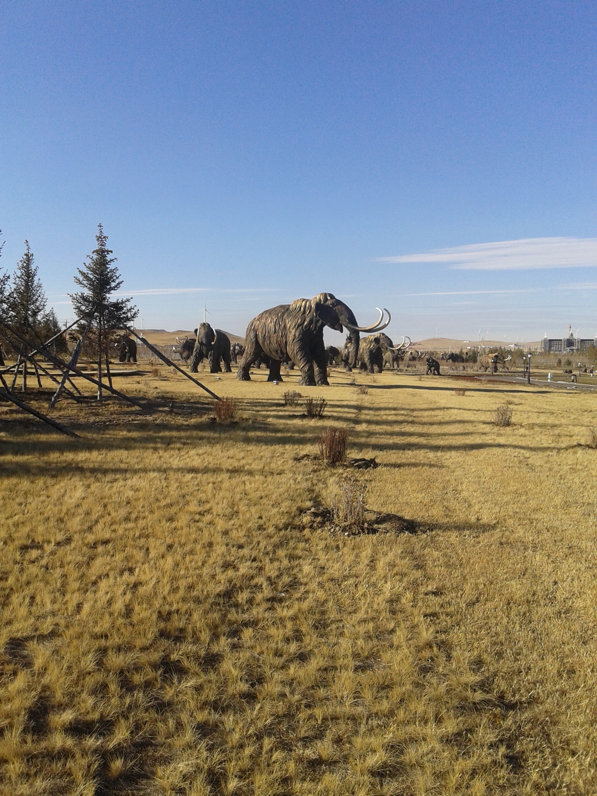 Samsung Galaxy Core sample photo