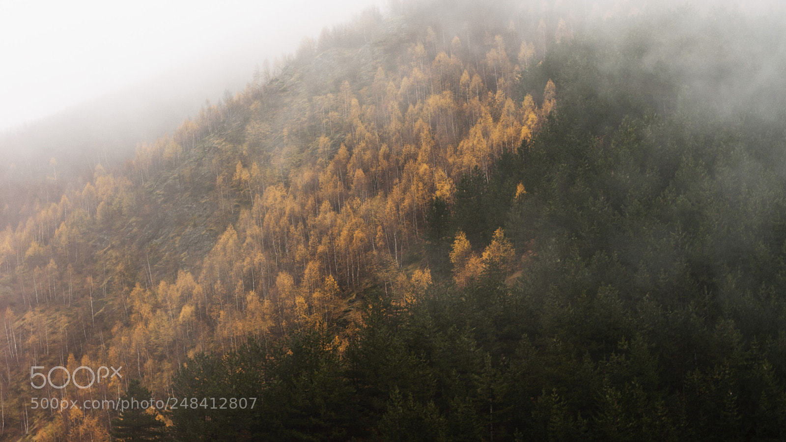 Canon EOS 20D sample photo. Twin peaks photography