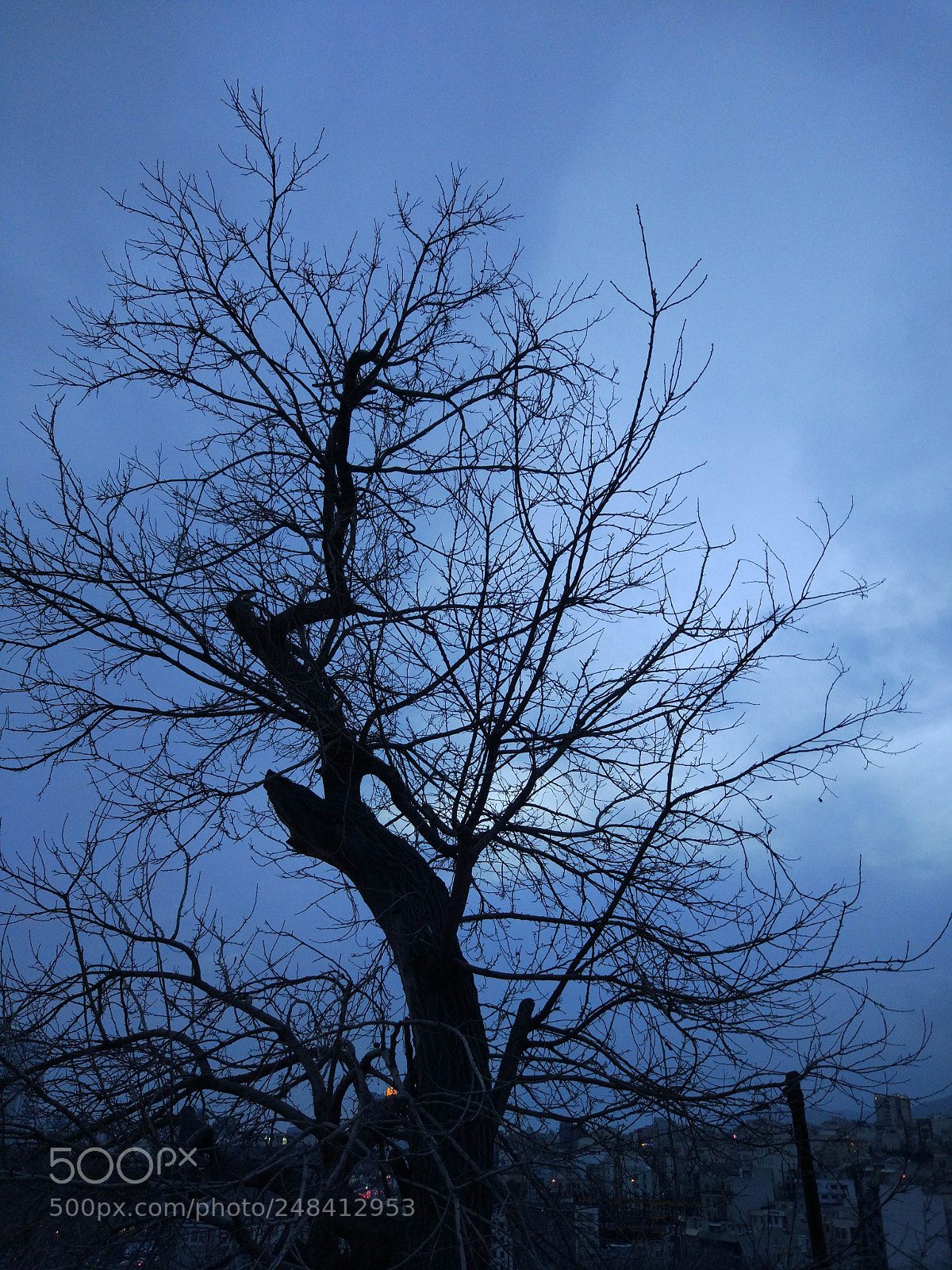 Xiaomi MI 5 sample photo. Untitled photography