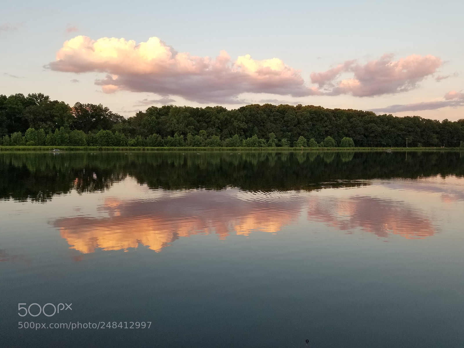 Samsung Galaxy S8+ sample photo. Untitled photography