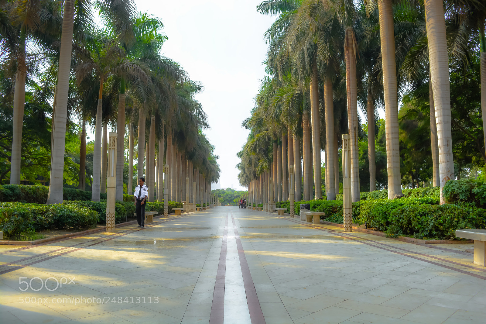 Nikon D5200 sample photo. Park photography