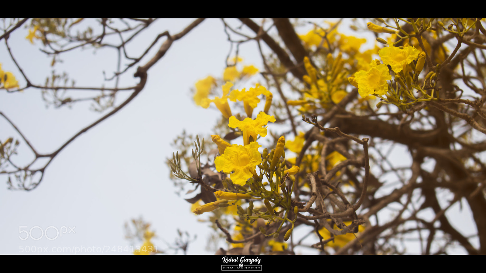 Nikon D3400 sample photo. Nature photography