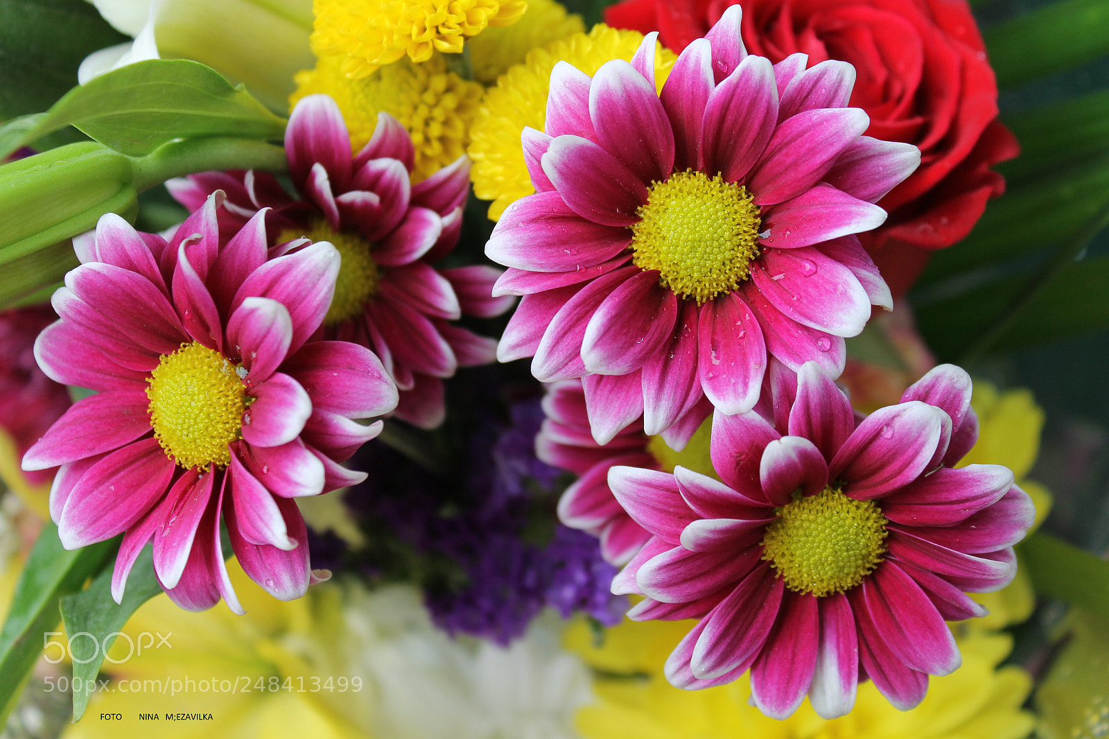 Canon EOS 1100D (EOS Rebel T3 / EOS Kiss X50) sample photo. Blume photography