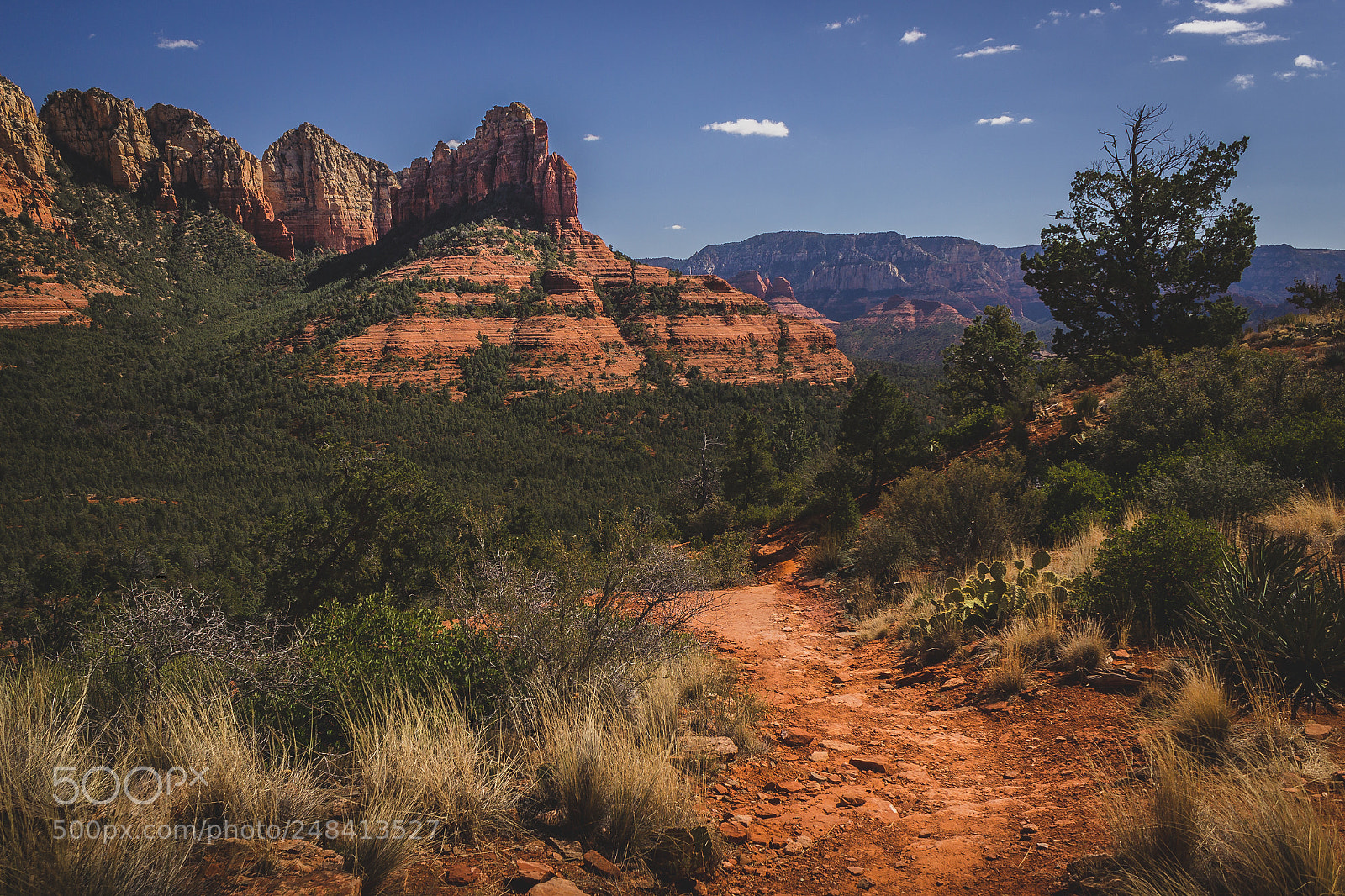 Canon EOS 600D (Rebel EOS T3i / EOS Kiss X5) sample photo. Brins mesa trail vista photography