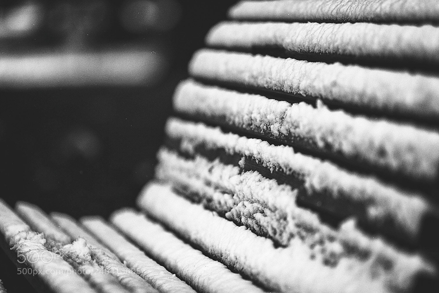 Canon EOS-1Ds Mark II sample photo. The bench photography