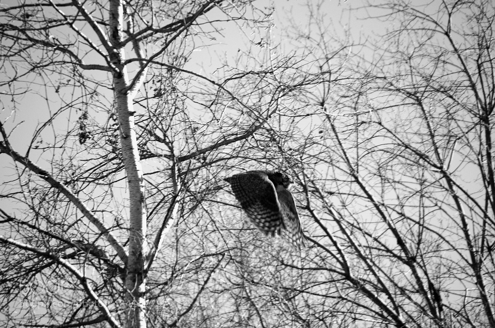 Pentax K-50 sample photo. Untitled photography