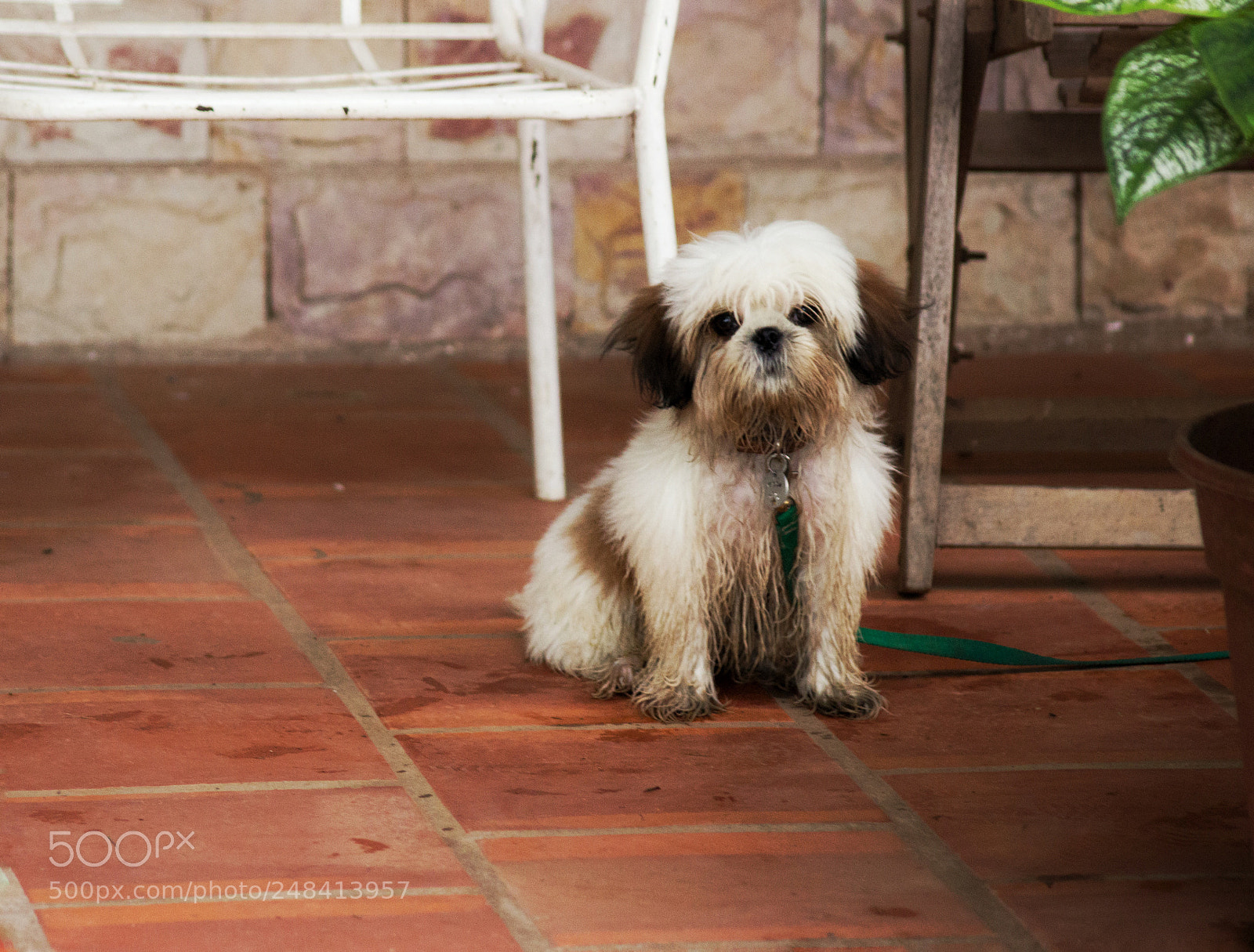 Canon EOS 600D (Rebel EOS T3i / EOS Kiss X5) sample photo. Mila photography