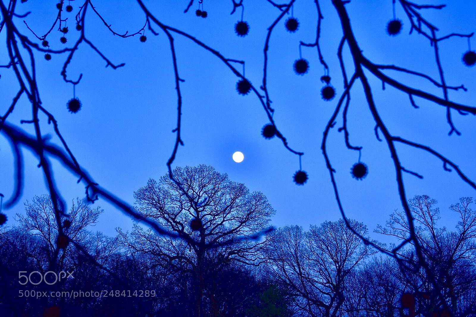 Nikon D3400 sample photo. Beautiful moon photography