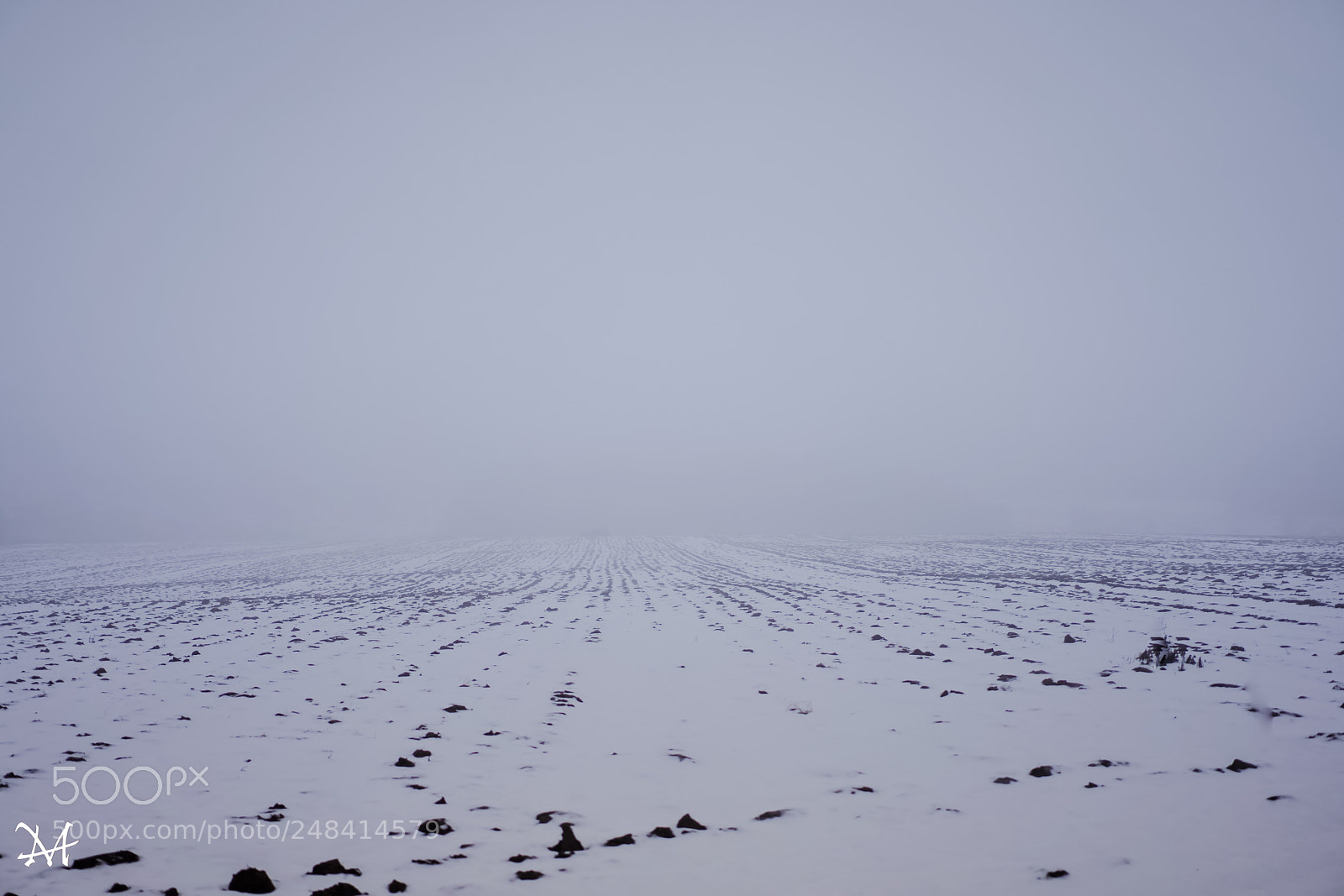 Sony a7 II sample photo. Утро в Российской деревне photography