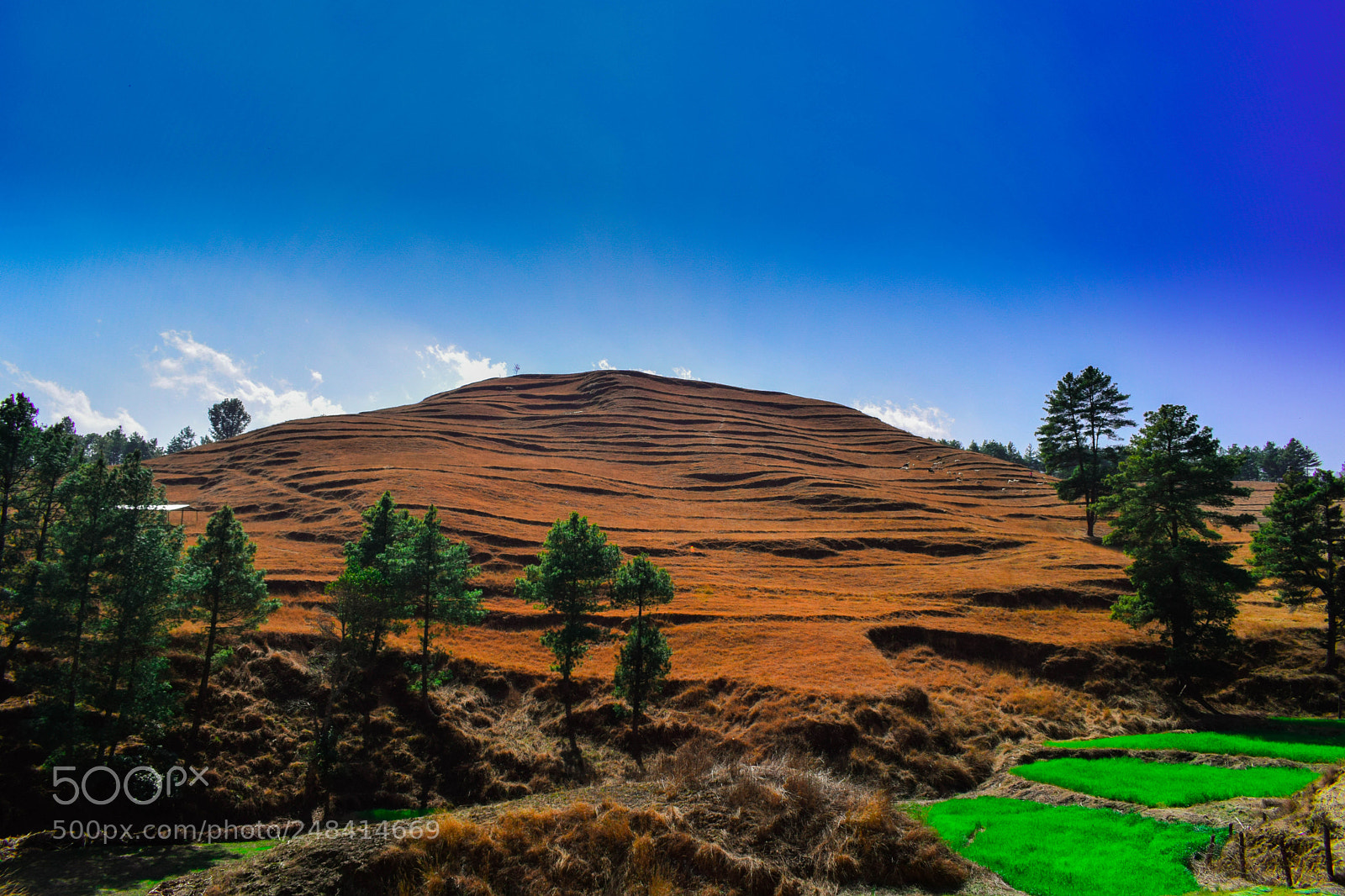 Nikon D5300 sample photo. Beautiful nepal photography