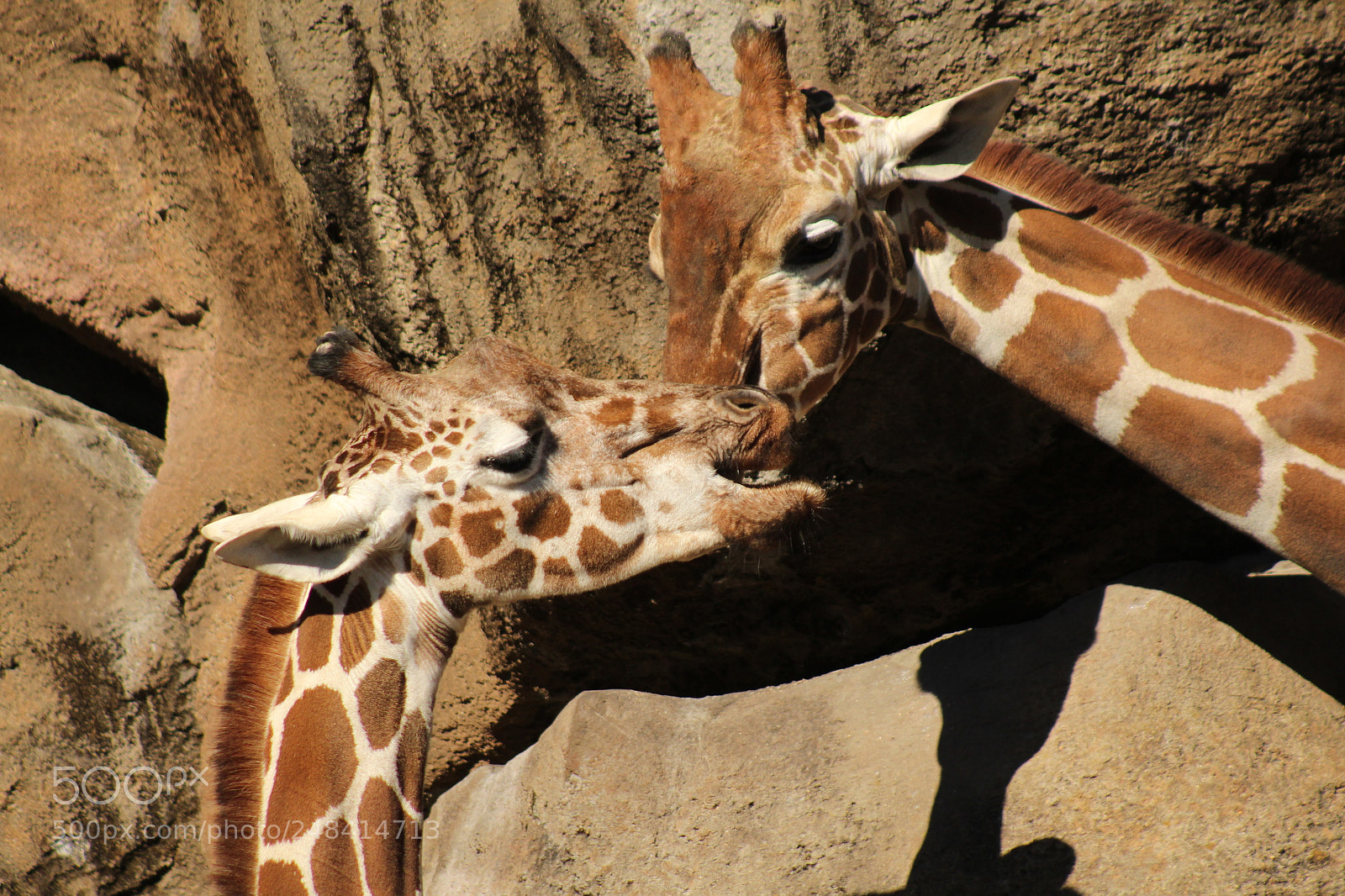 Canon EF 75-300mm f/4-5.6 sample photo. Parental love photography