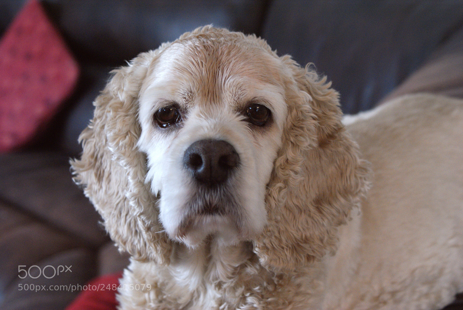 Sony DT 18-70mm F3.5-5.6 sample photo. Resting photography