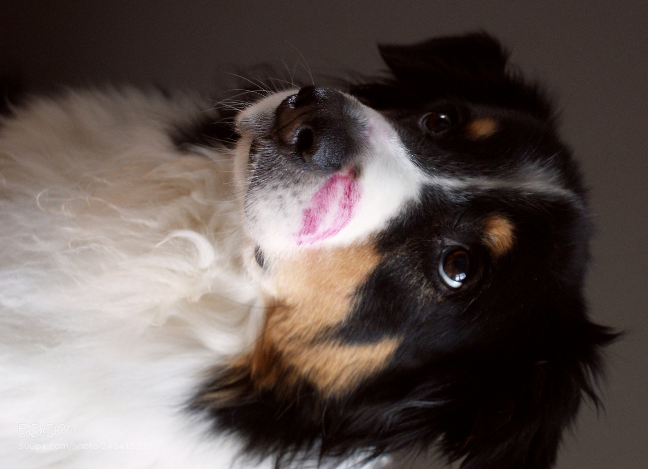 Sony DT 18-70mm F3.5-5.6 sample photo. First kiss photography
