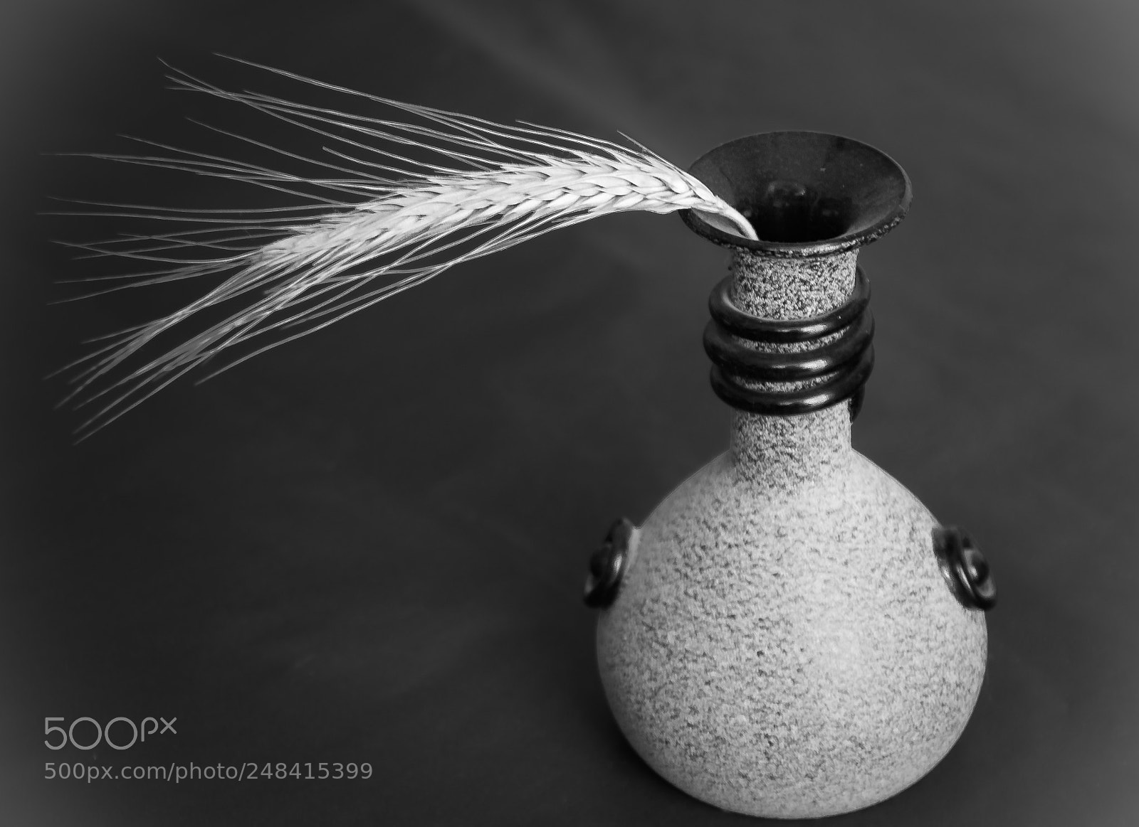 Sony SLT-A58 sample photo. *** a vase *** photography