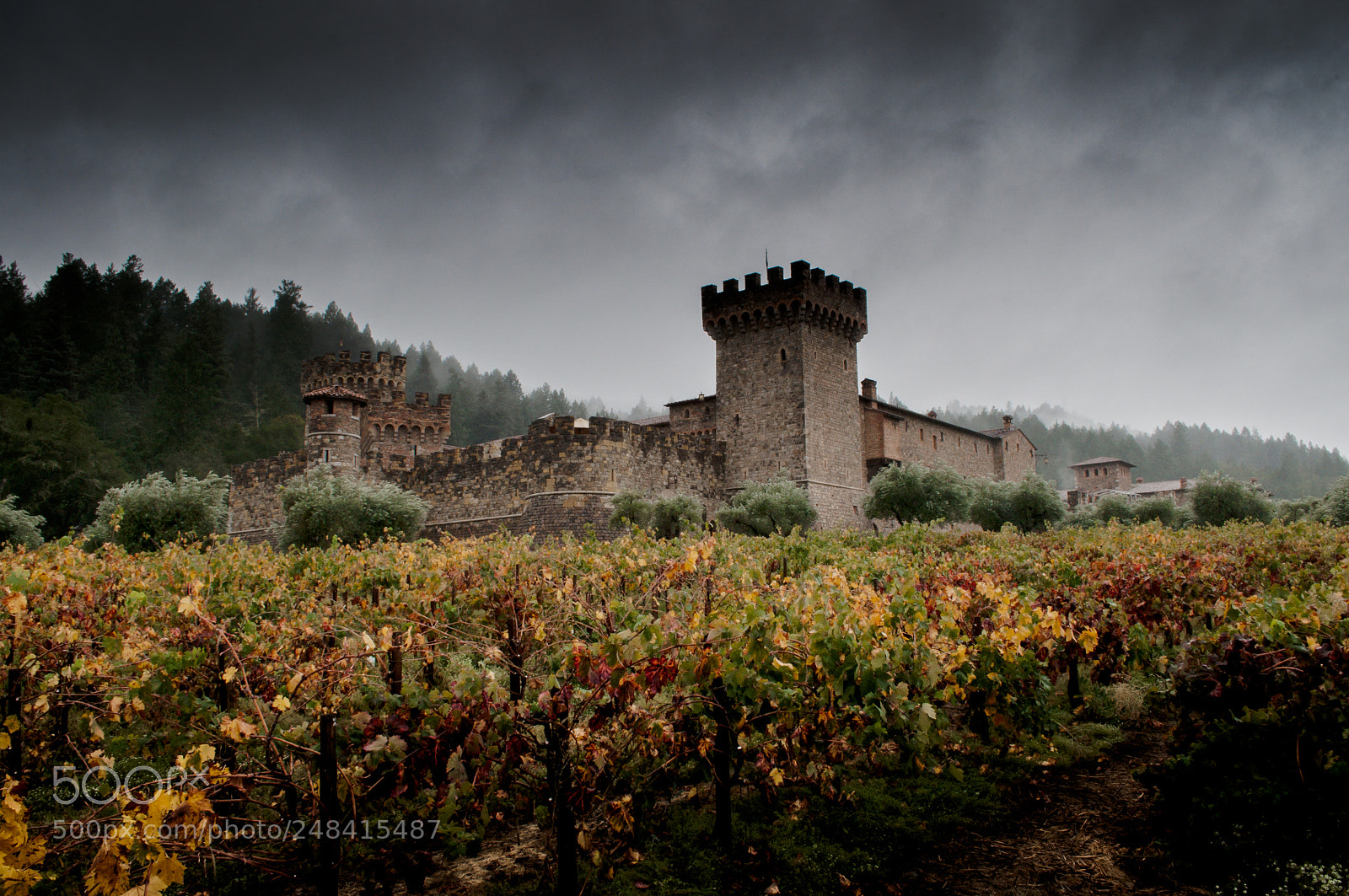 Nikon D300 sample photo. Dark sky - napa photography