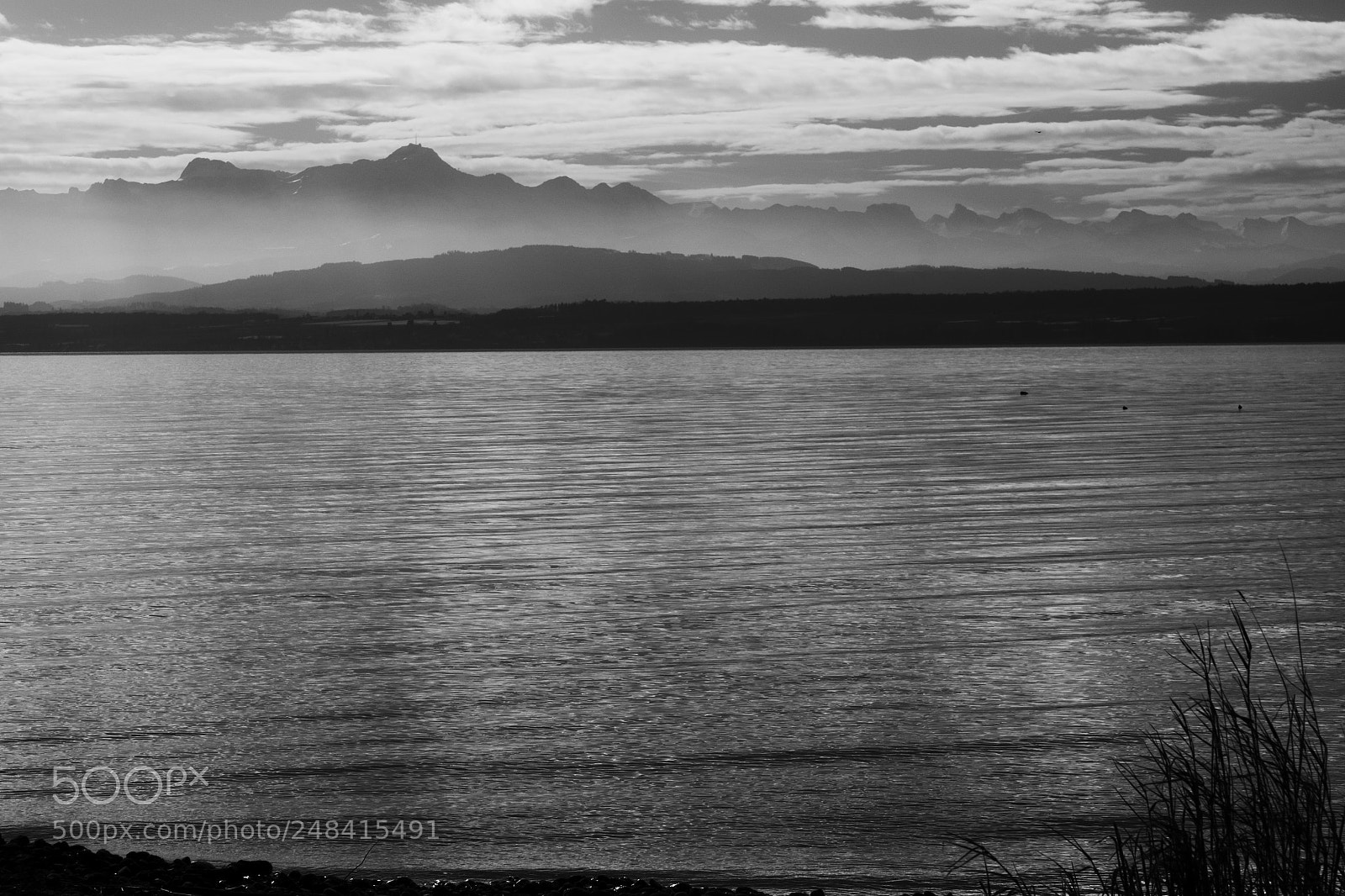 Fujifilm X-T1 sample photo. Lines of grey photography