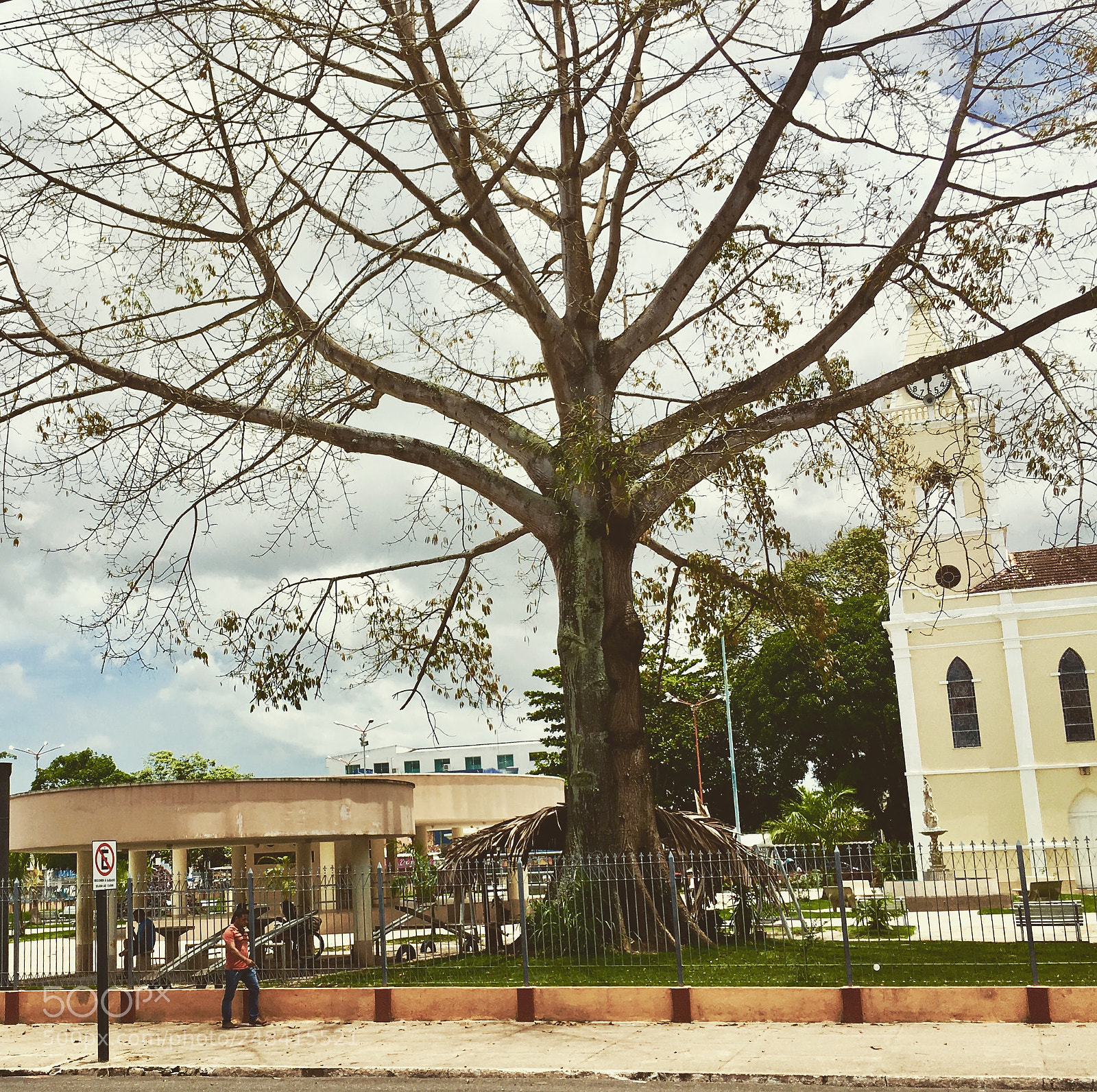 Apple iPhone SE sample photo. Abaetetuba, pará, bra photography