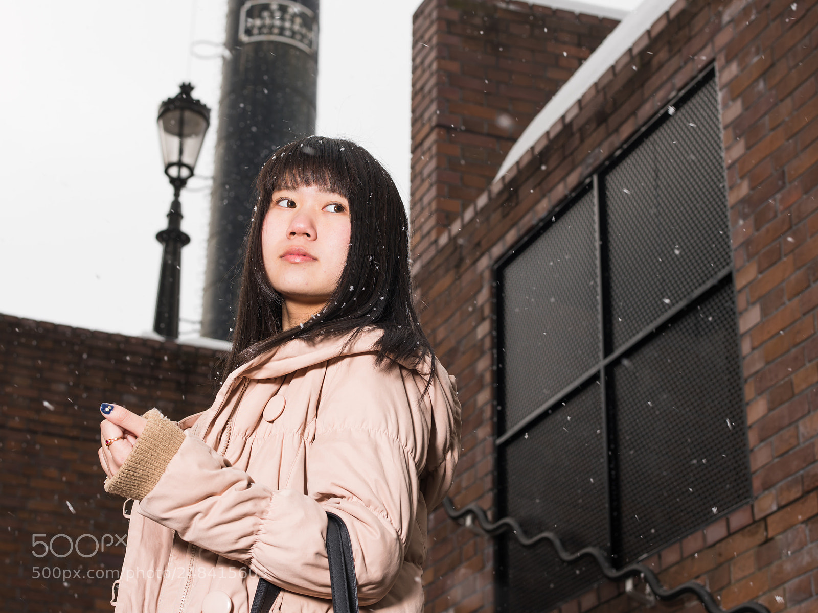 Sony a7R III sample photo. Dsc photography