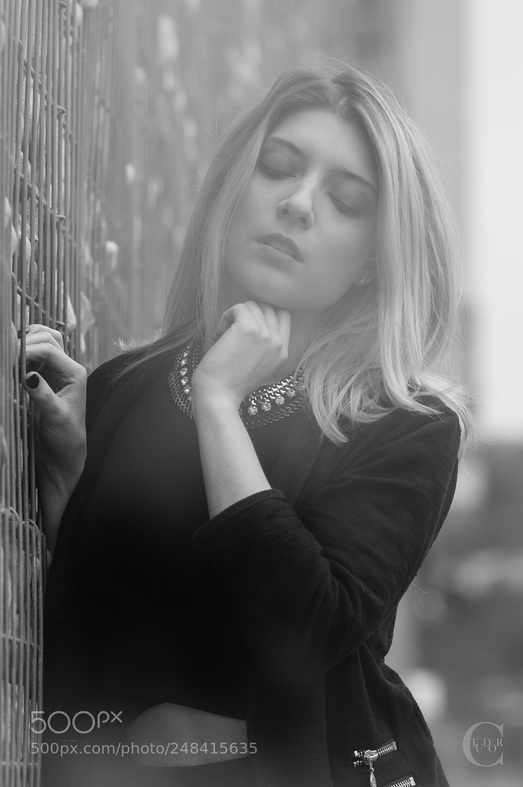 Nikon D300 sample photo. In the fog photography