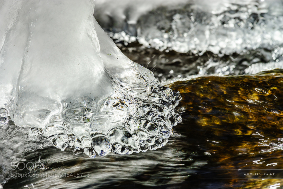 Sony a99 II sample photo. Abstract close-up view of photography