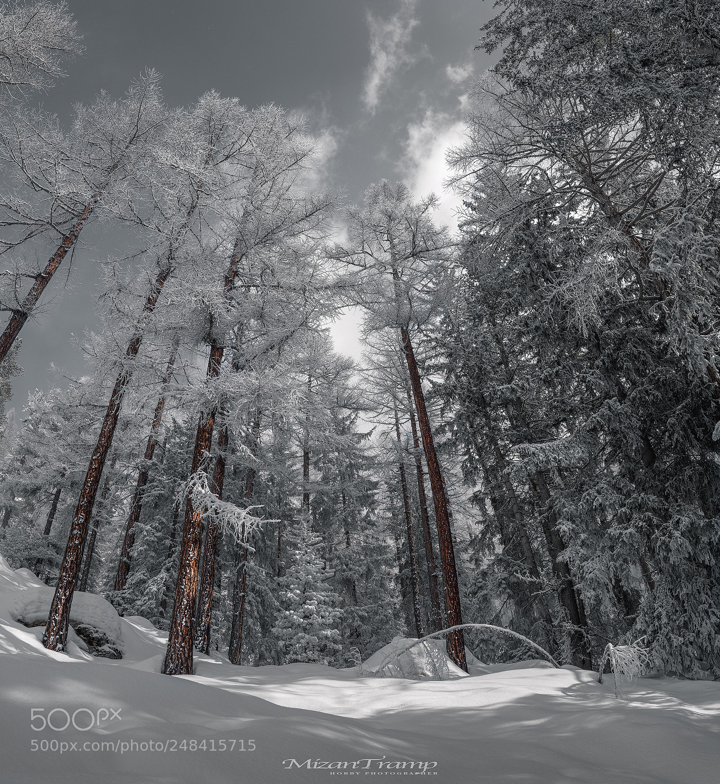 Nikon D810 sample photo. Beautiful painting of nature photography