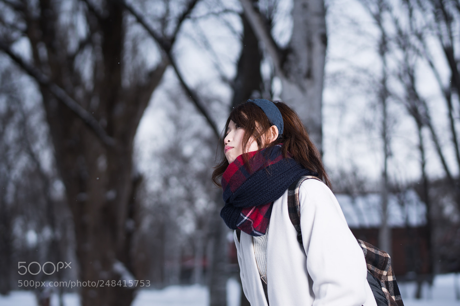 Sony a7R III sample photo. Dsc photography