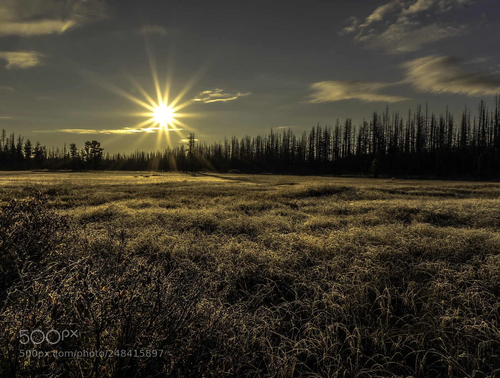 Sony a7R sample photo. Chilcotin morning photography