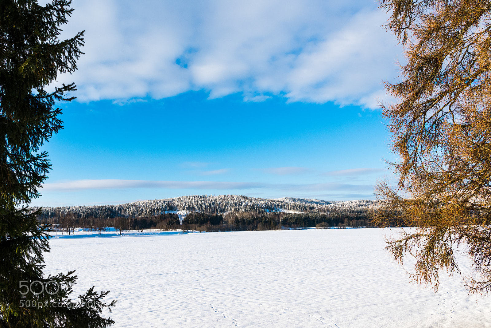 Nikon D850 sample photo. Looking at the frozen photography