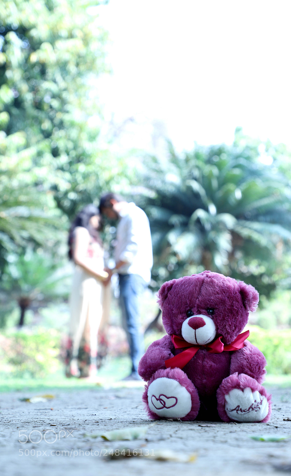 Canon EOS 6D Mark II sample photo. Untitled photography