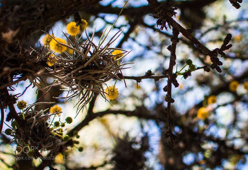 Nikon D3400 sample photo. Inspiración. photography