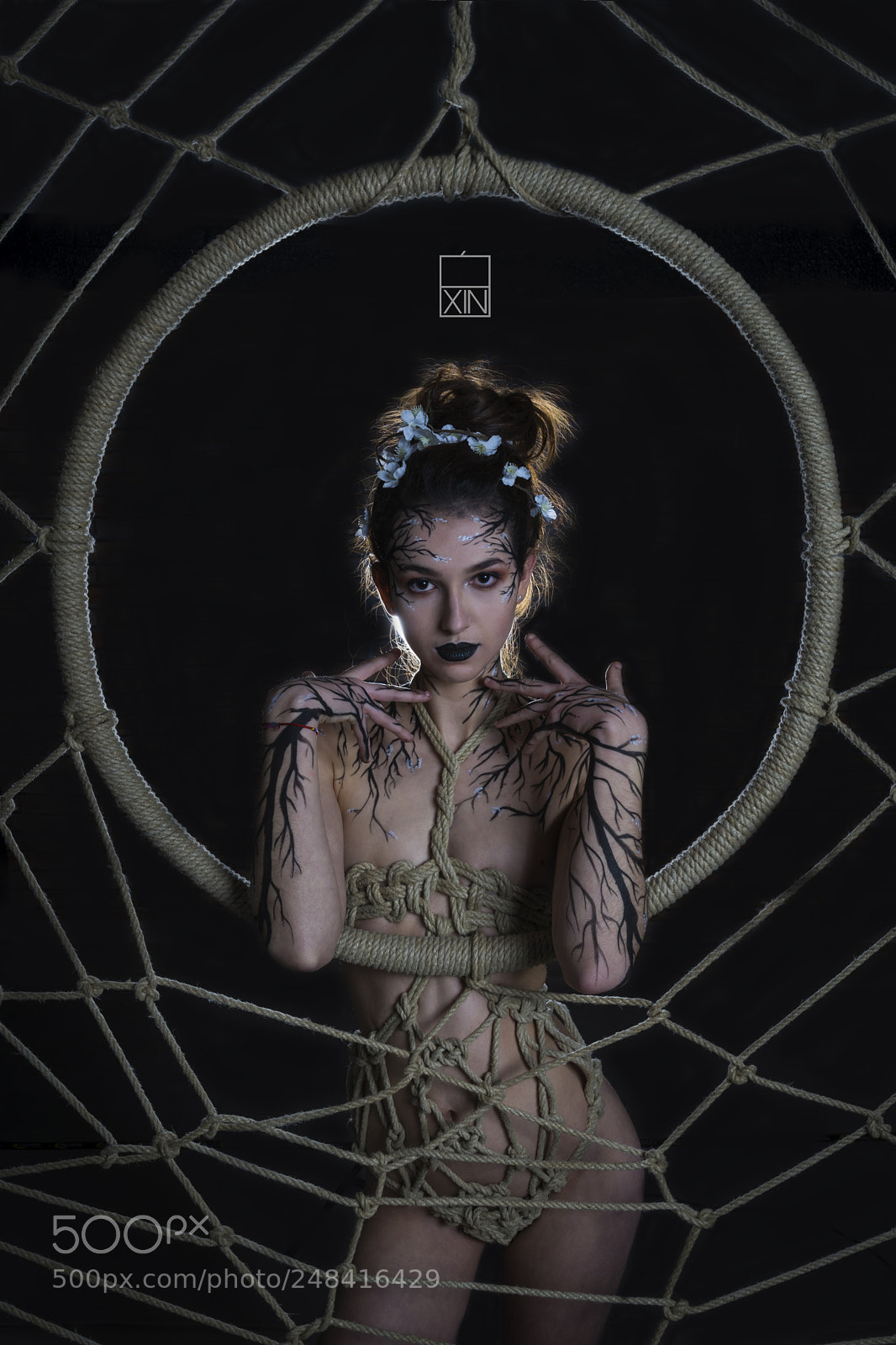 Sony a7 II sample photo. Xoco sokan photography