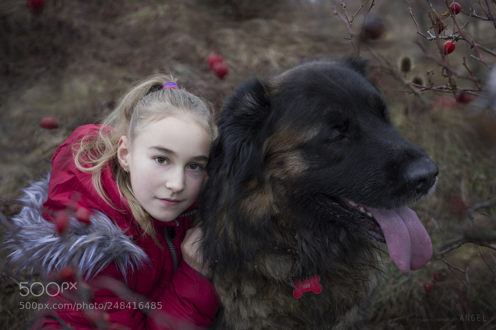 Pentax K-3 II sample photo. M&leo photography